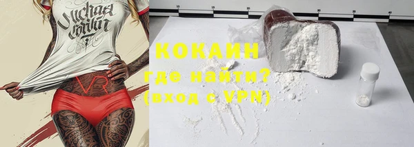 шишки Дмитров