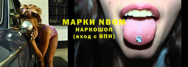 соль ск Гусиноозёрск