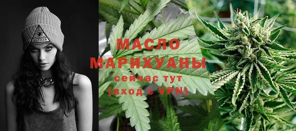 эйфоретик Гусев